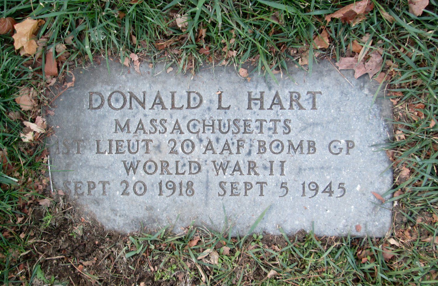 181679042 98a945d2 f55b 4033 b4b9 2c85e4ea0aea