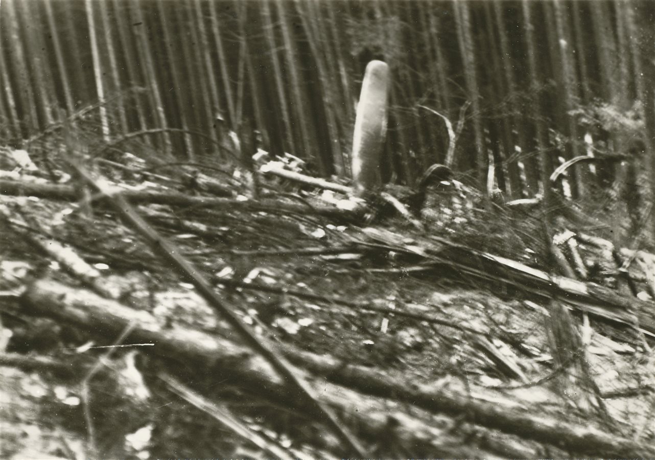 manip B 17 mezi Velehradem a Salasi okr. Uherske Hradiste 7.7.1944 1